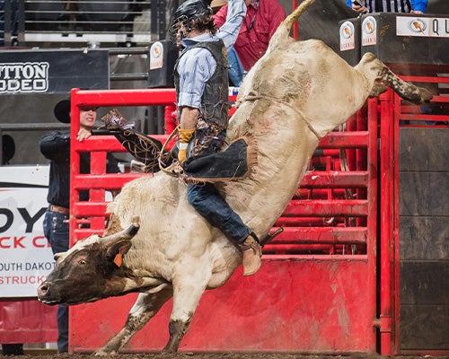 More Info for 金刚直播体育 Rodeo Rapid City PRCA Rodeo 2026